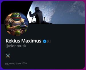 Elon Musk Updates X Profile with New Name: "Kekius Maximus"